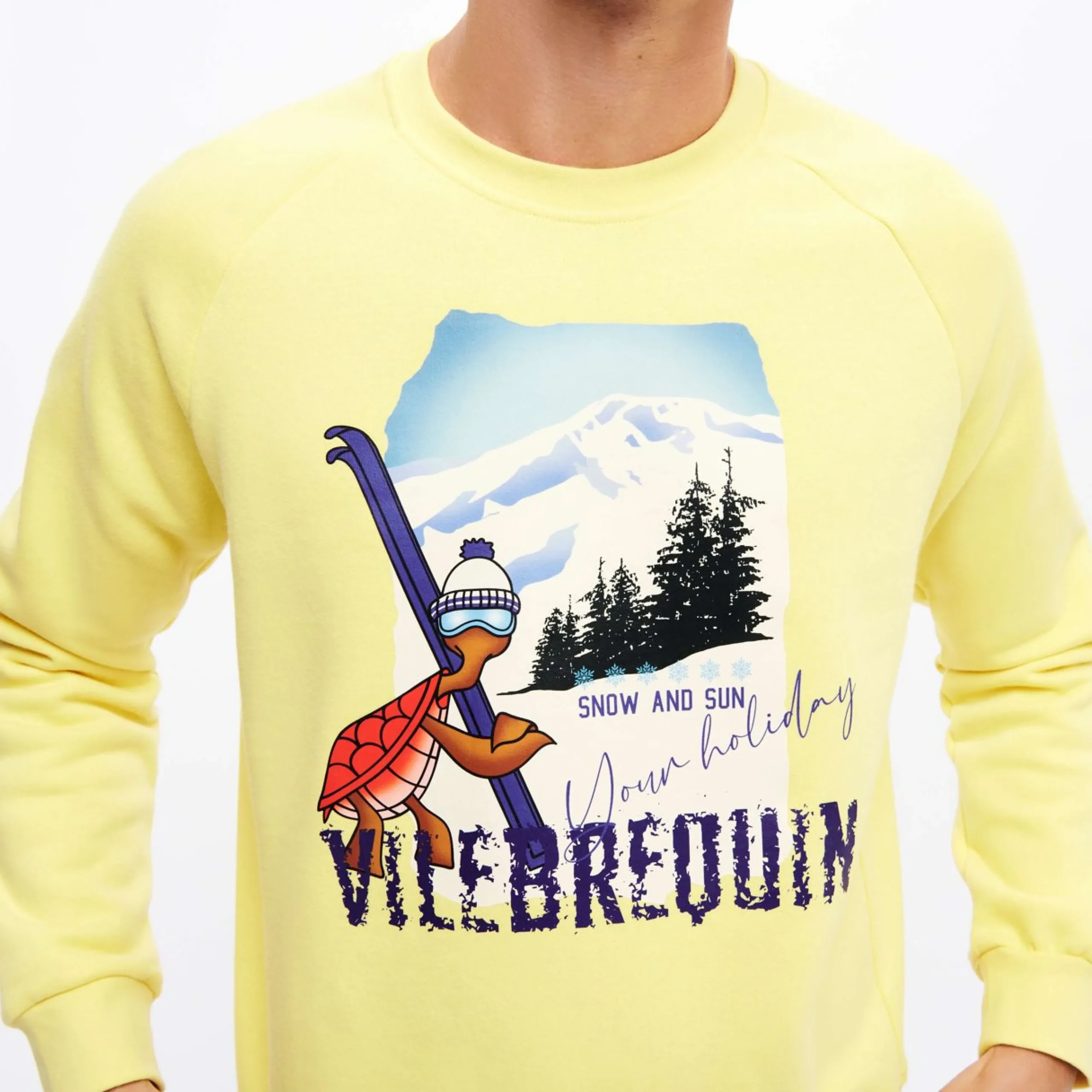 Homme Vilebrequin Sweats^Sweat En Coton Polaire Homme Imprime Turtle Skier Snow And Sun