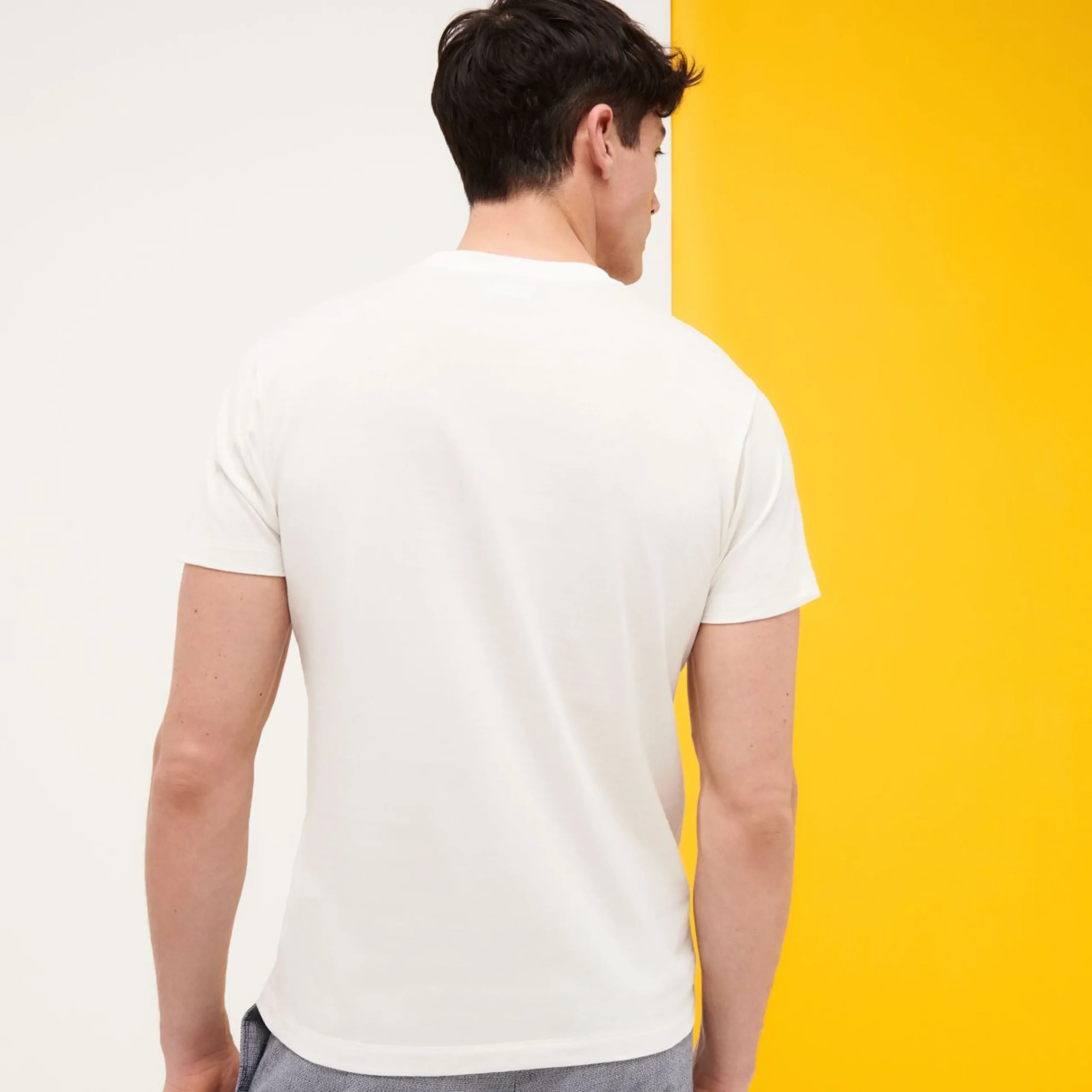 Homme Vilebrequin T-Shirts^T-Shirt En Coton Homme Palms
